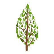 Tree N34