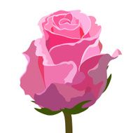 Flower Vector N9