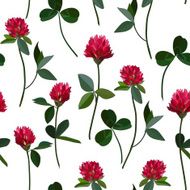 Seamless pattern clover N3