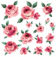 decoration of rose
