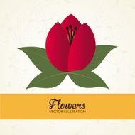 Flowers design N152