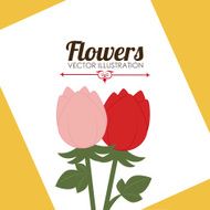 Flowers design N155