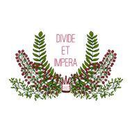 Divide et empera postcard