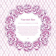 Elegant pink roses N12