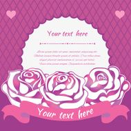 Elegant pink roses N17