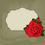 Invitation card with rose and frame - Illustration