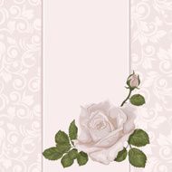 Wedding invitation card with rose - Illustration