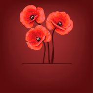 Poppy floral background - Illustration