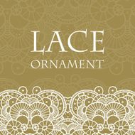 Vector lace ornament background N26