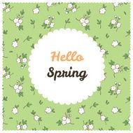 Hello Spring! Mexican Style N10
