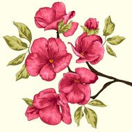 Cherry blossom Sakura tree with flowers - illustration