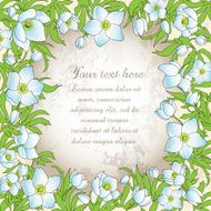 Greeting card with anemones