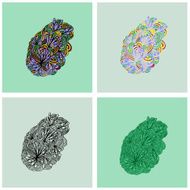 Floral element N15