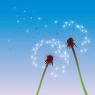 color vector dandelions N2