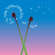 color vector dandelions N5
