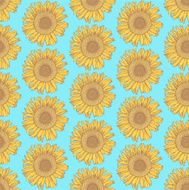 Sketch sunflower