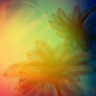 Palm trees with beautiful sunset N4