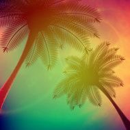Palm trees with beautiful sunset N5