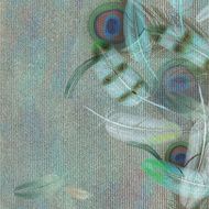 Feather background N7