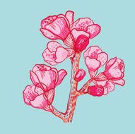 vector delicate spring flower on background N3