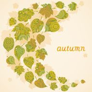 Bright autumn concept background N9