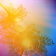 Palm trees with beautiful sunset N7