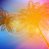 Palm trees with beautiful sunset N9