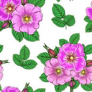 Seamless Floral Pattern N1407
