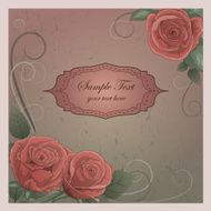 Romantic vector background with roses