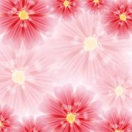 Greeting card with red flowers