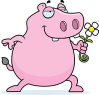 Hippo Flower N3