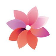 flower design N26