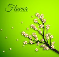concept of floral branch on green background