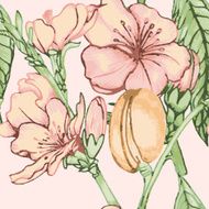 peach flower seamless pattern