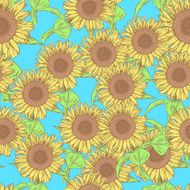Sketch sunflower vector vintage seamless pattern