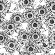 Sketch sunflower vector vintage seamless pattern N2