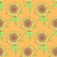 Sketch sunflower vector vintage seamless pattern N3