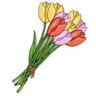 Vector Cartoon Bouquet of Color Tulips