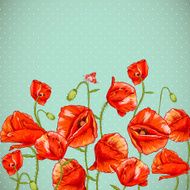 Bunch of Beautiful Red Poppy vector illustration N2