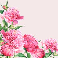 Pink watercolor peonies vintage greeting card N3