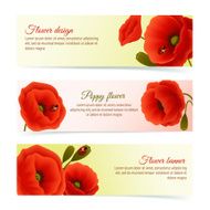 Poppy horizontal banner set