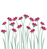 Flowers N268