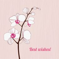 Greeting card with orchids