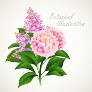 Botanical vector illustration Vintage floral card N5
