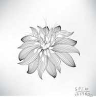 Floral Elements for design N39