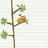couple owl birds love with heart on tree vector