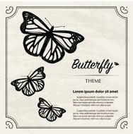 Vintage Butterfly Copy Space