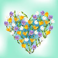 Spring flowers in the heart on blue sky background