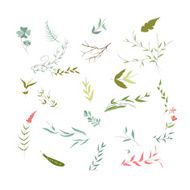 set of florals and ribbon