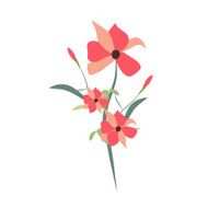 beauty floral bouquets